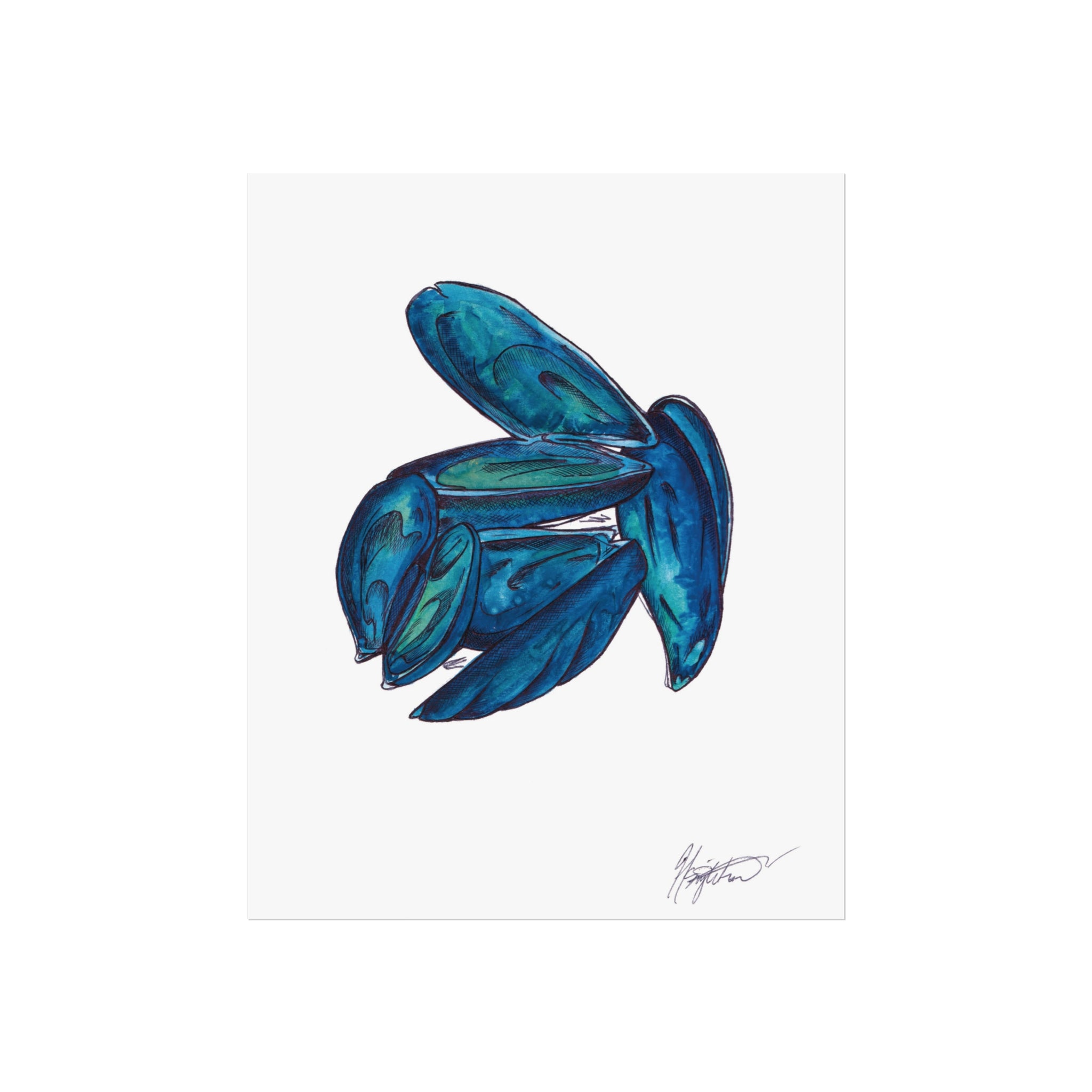 Mussels - seafood fine art illustration print