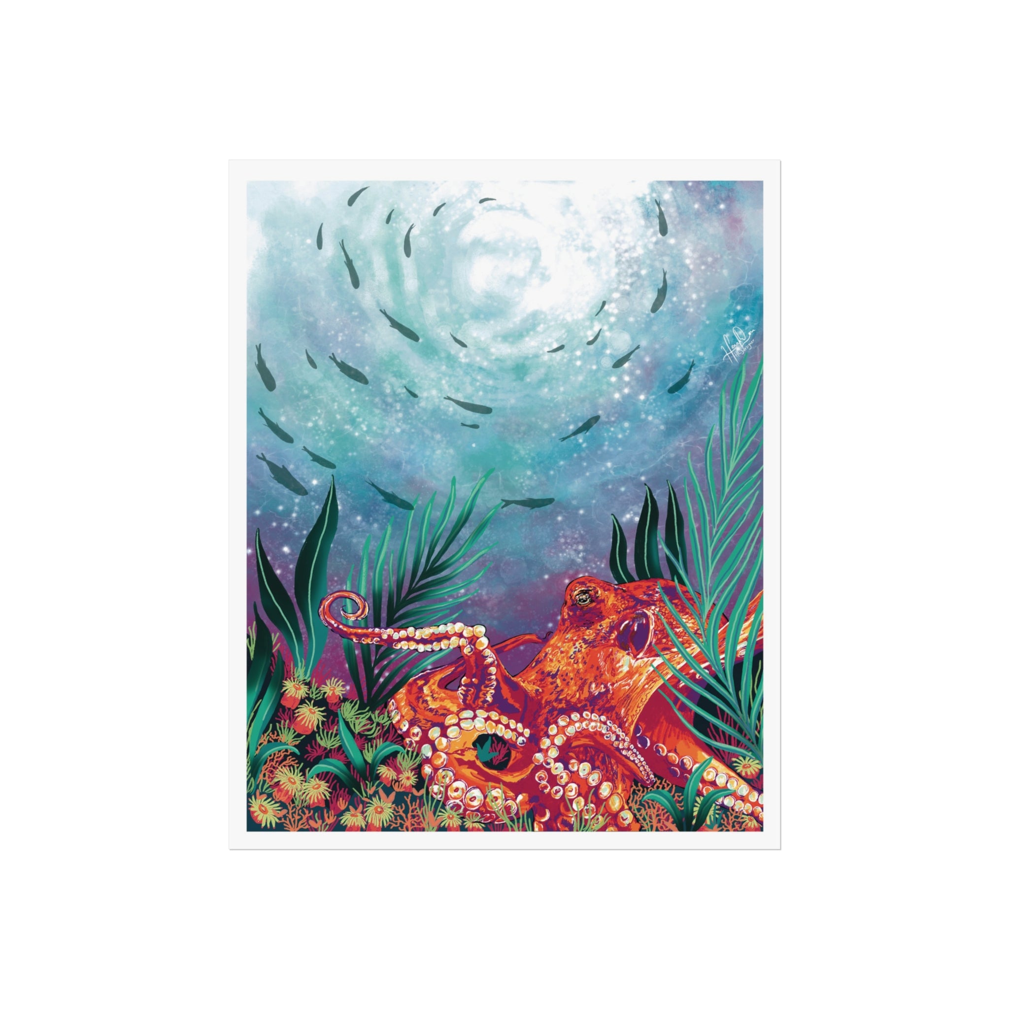 Octopi Corals - Fine Art Print