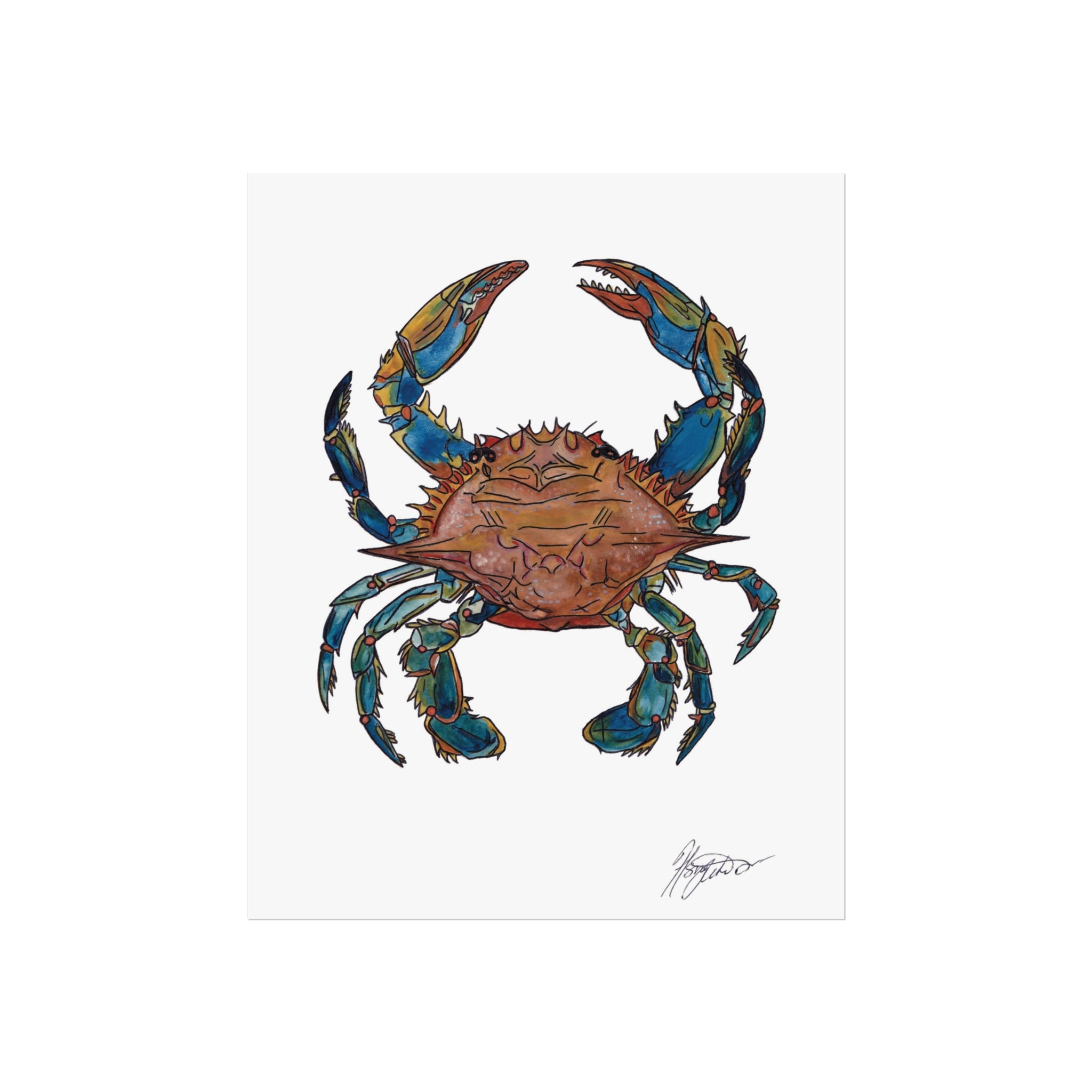 Blue Sand Crab - Fine art illustration print