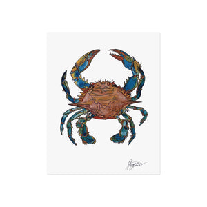 Blue Sand Crab - Fine art illustration print