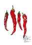 A stylized illustration of red chili peppers hanging vertically on a white background, with green stems and a visible artist signature in the lower right. Designed and created by Hannah Singleton at HLSdesigner, ocean inspired artist and foodie fine art prints in Cornwall