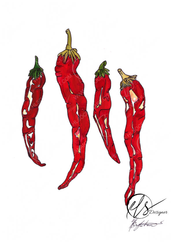 A stylized illustration of red chili peppers hanging vertically on a white background, with green stems and a visible artist signature in the lower right. Designed and created by Hannah Singleton at HLSdesigner, ocean inspired artist and foodie fine art prints in Cornwall