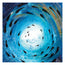 Fish shoal 10 - abstract artwork featuring a shoal of fish swimming through the waves as the ocean moves below the surface. Light reflecting through creating emphasis on the vortex below. Gold flickering through the sea, cutting the darkness with sun rays amongst textural forms. Designed by Hannah Singleton at HLSdesigner, Cornwall based fine artist inspired by ocean viewpoints.Complete with watermarks and signature. 