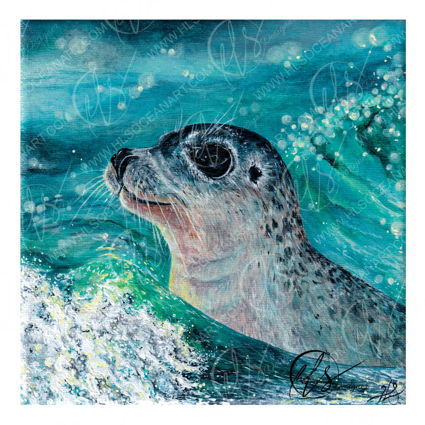 A square acrylic painting of a seal pupp in ocean waves, featuring a textured teal and turquoise background with white sea foam and a spotted gray seal head. This is Gentle curiosity, a painting showcasing an innocence among the waters, playing on the change in behaviours of the ocean, he is navigating the ferice waves but on a beautiful glistening summer day, hunting, looking for food, popping his head up as people watch him take his journey. Watermarked and created by HLSdesigner, Hannah Singleton