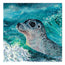 A square acrylic painting of a seal pupp in ocean waves, featuring a textured teal and turquoise background with white sea foam and a spotted gray seal head. This is Gentle curiosity, a painting showcasing an innocence among the waters, playing on the change in behaviours of the ocean, he is navigating the ferice waves but on a beautiful glistening summer day, hunting, looking for food, popping his head up as people watch him take his journey. Watermarked and created by HLSdesigner, Hannah Singleton