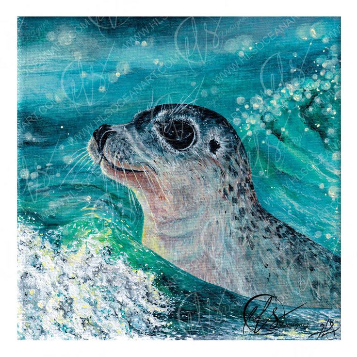 A square acrylic painting of a seal pupp in ocean waves, featuring a textured teal and turquoise background with white sea foam and a spotted gray seal head. This is Gentle curiosity, a painting showcasing an innocence among the waters, playing on the change in behaviours of the ocean, he is navigating the ferice waves but on a beautiful glistening summer day, hunting, looking for food, popping his head up as people watch him take his journey. Watermarked and created by HLSdesigner, Hannah Singleton