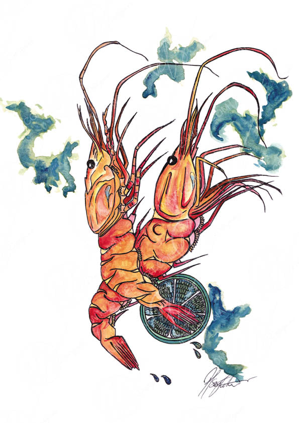 Watercolour illustration of two langoustines layered together on top of a slice f lime with juices in a wash tone around them, created using stylised illustration sketching and a linear crisp outline, signed Hannah Singleton, fine artist and illustrator inspired by the ocean and coastal seafood in Cornwall , fine art print at HLSdesigner and part of a seafood platter series 