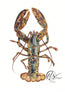 A detailed lobster illustration or art print on a white background, with a visible 'HLS Designers' signature in the lower right corner. Originally illustrated with over 37,000 brush strokes on digital illustating software. Hannah Singleton artist and designer at HLSdesigner creates beautiful fine art prints from Cornwall inspired by the ocean. Oranges, burnt reds, blue and black shadows define this lobsters pattern presence.