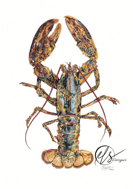 A detailed lobster illustration or art print on a white background, with a visible 'HLS Designers' signature in the lower right corner. Originally illustrated with over 37,000 brush strokes on digital illustating software. Hannah Singleton artist and designer at HLSdesigner creates beautiful fine art prints from Cornwall inspired by the ocean. Oranges, burnt reds, blue and black shadows define this lobsters pattern presence.