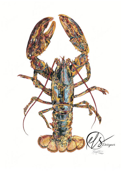 A detailed lobster illustration or art print on a white background, with a visible 'HLS Designers' signature in the lower right corner. Originally illustrated with over 37,000 brush strokes on digital illustating software. Hannah Singleton artist and designer at HLSdesigner creates beautiful fine art prints from Cornwall inspired by the ocean. Oranges, burnt reds, blue and black shadows define this lobsters pattern presence.