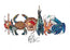 A beautiful illustrative representation using mixed media by Hannah Singleton at HLS designer. Featuring a seafood platter presented on a white background. This is a collective of the individual seafood prints on offer and features a prawn on a skewer with chillies, a blue sand crab, scallop in shell with seaweed, two freshly caught mackerel, two layered langoustines with lime and a handful of mussels, perfect for any bar or kitchen space. Available as fine art prints by HLSdesigner