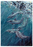 An underwater seascape artwork showing a school of dolphins swimming in deep blue ocean water with sunlight filtering through the surface. The image includes repeated watermark text and signatures by HLSdesigner. Inspired by the playful dolphins just out of Fowey harbour in Cornwall, a scene that can be so rare for many, but invigorating and captivating once lucky enough to witness. Fine art print by Hannah Singleton