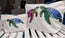printed and designed in house, these accessory bags are sitting next to each other to compare in size, showing the turtle design collection. sitting on a white shelf with ocean art in the background