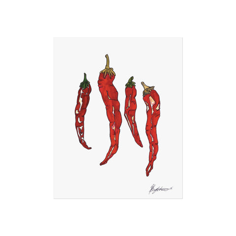 Illustration of red chili peppers on a white background