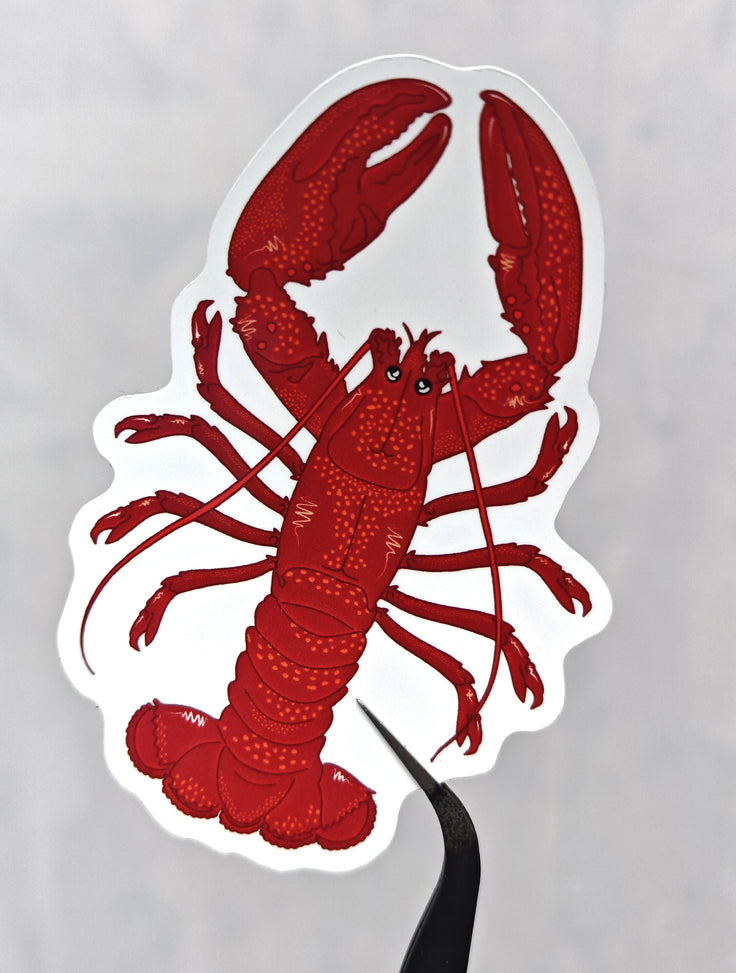 beautifully illustrated lobster die cut sticker by HLSdesigner with bright orange dots and shading, held by tweezers on a white background