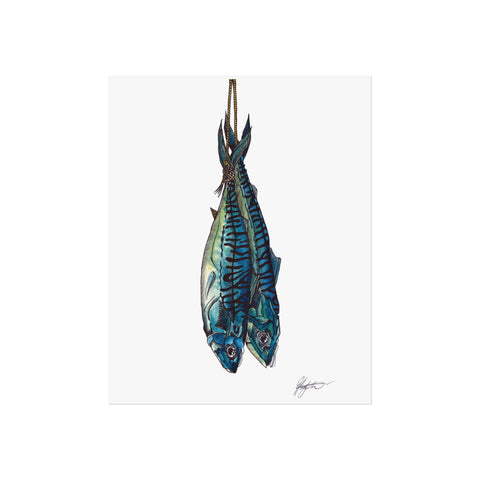 Decorative fish mackerel illustration art print of two mackerel fish strung after freshly caught, food prep inspired seafood art