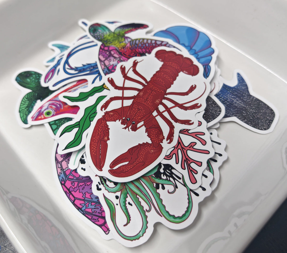 Colourful sticker with a lobster design on a white tray and a selection of die cut stickers, vinyl waterproof stickers in a range of ocean creatures designed by HLSdesigner, from pink turtles, green turtles, squids, sardines, lobsters and starfish 