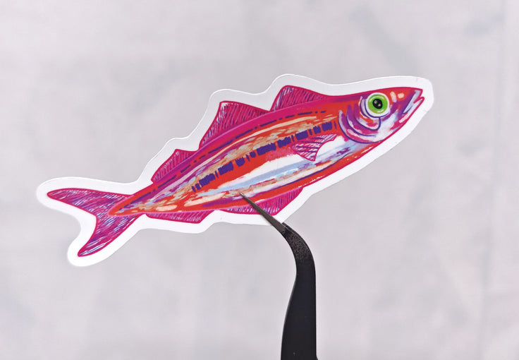 pink and orange sardine illustration on a white background being held by tweezers and made into a die cut sticker