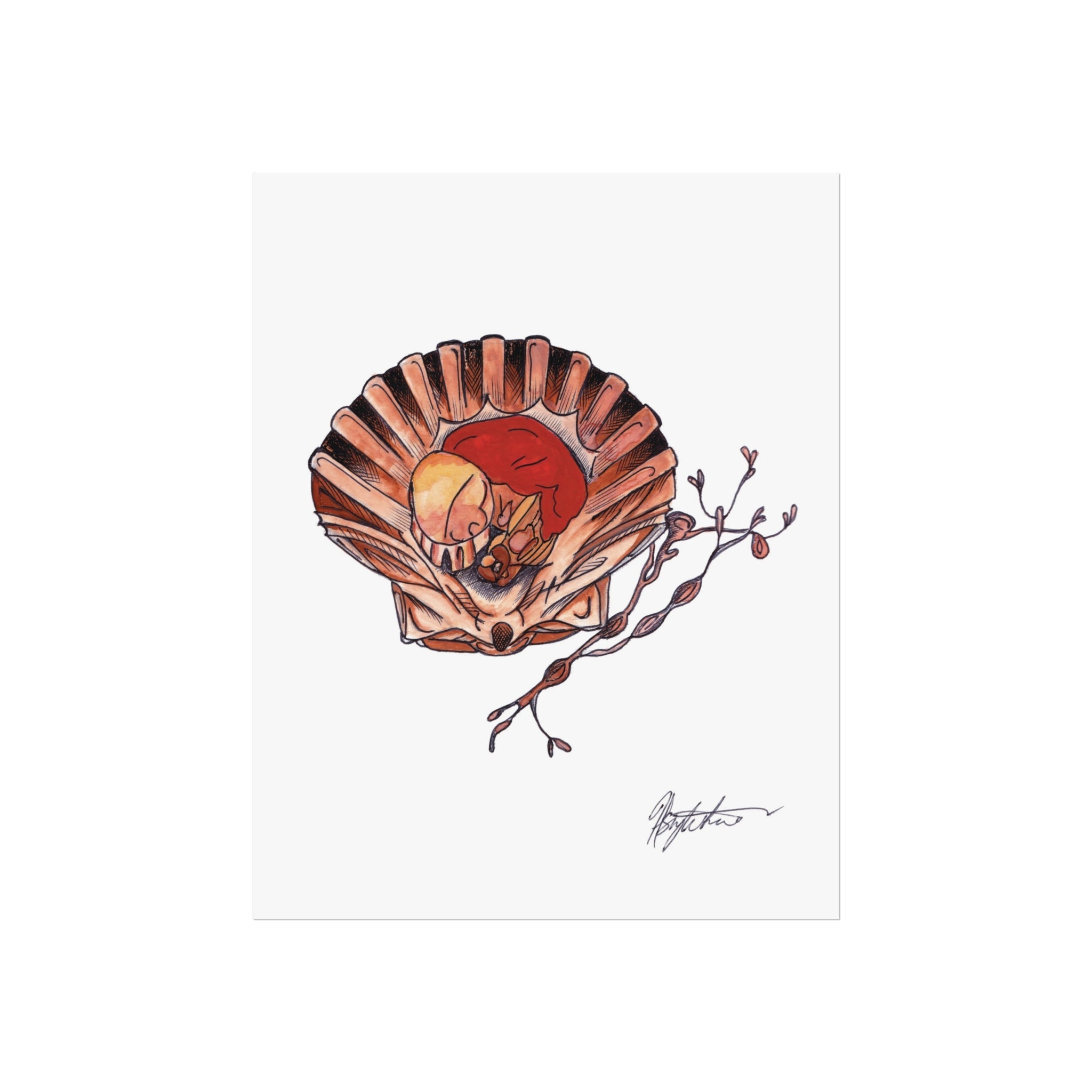 Scallop fine art print