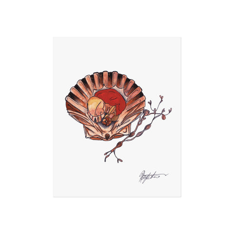 Illustration of a shell with a red heart inside, featuring a signature at the bottom right corner on a white background. HLSdesigner