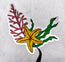 starfish, coral and seaweed illustrated and combined to make a beautiful die cut sticker held by tweezers on a white background by HLSdesigner